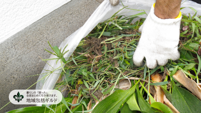 草むしりの状況